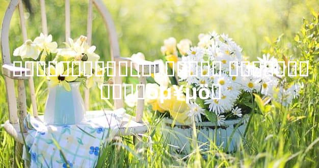 ��������������˺��� ���������Ҫ�򵥵öࡣ